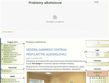 Tablet Screenshot of problemyalkoholowe.paczkow.pl